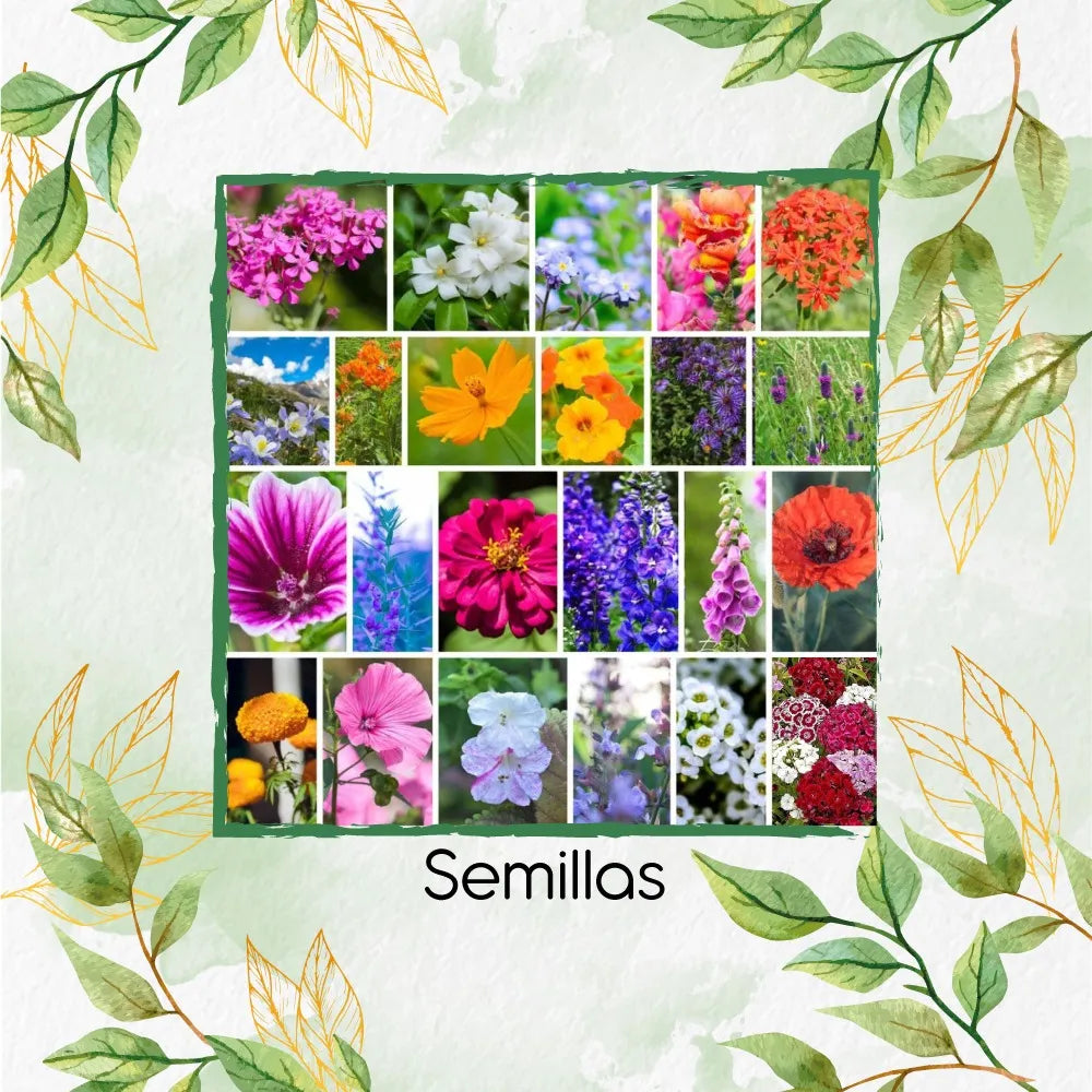 Kit completo de Jardín 1.500 semillas diferentes- Flores Para Mariposas®