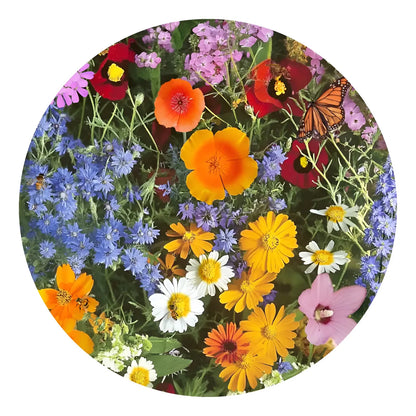 Kit completo de Jardín 1.500 semillas diferentes- Flores Para Mariposas®