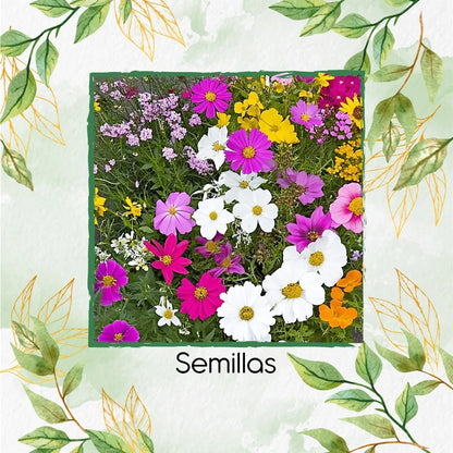 Kit completo de Jardín 1.500 semillas diferentes- Flores Para Mariposas®