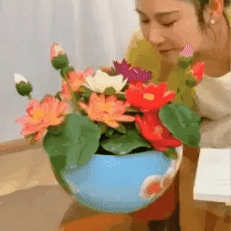 Florea / SEMILLAS FLOR DE LOTO® – Importaciones prime
