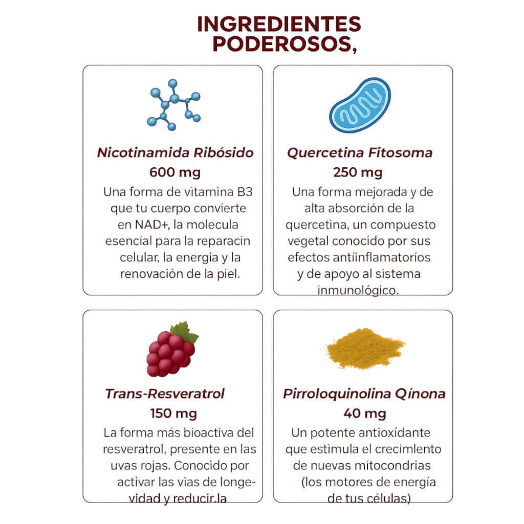 ZOOONE NAD+ Líquido | Terapia de Regeneración Avanzada