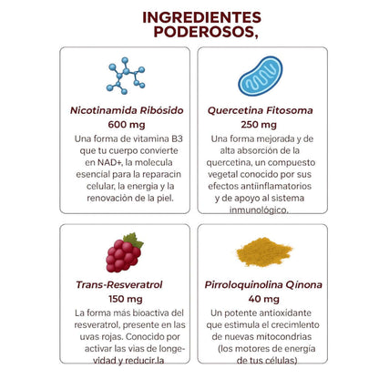ZOOONE NAD+ Líquido | Terapia de Regeneración Avanzada